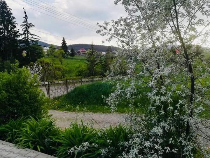 Pensiunea Valurile Bistritei 바틀돌니 외부 사진